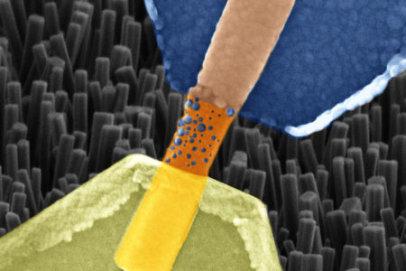 Künstliche Synapse aus Nanodrähten entwickelt