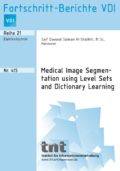 Medical Image Segmentation using Level Sets and Dictionary Learning