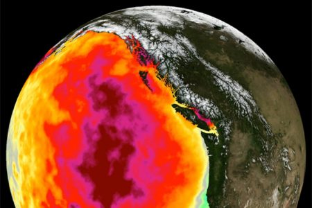 Forschungsteam misst Hitzewellen im Ozean