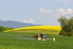 Schafft Özdemir den Durchbruch für eine ökologische Landwirtschaft?