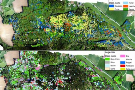 Trockenheit und Wald: Früherkennung per Satellit aus dem All
