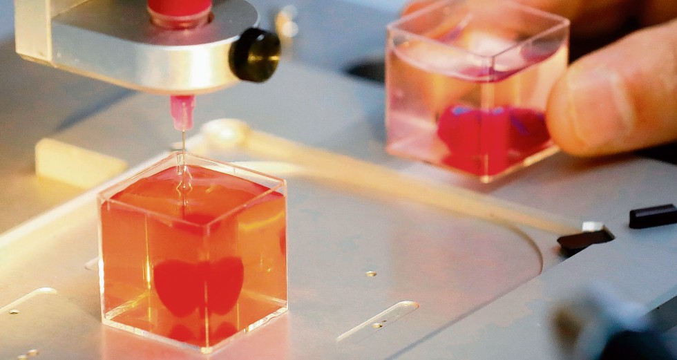 Maßgeschneiderte Organe aus dem 3D-Drucker