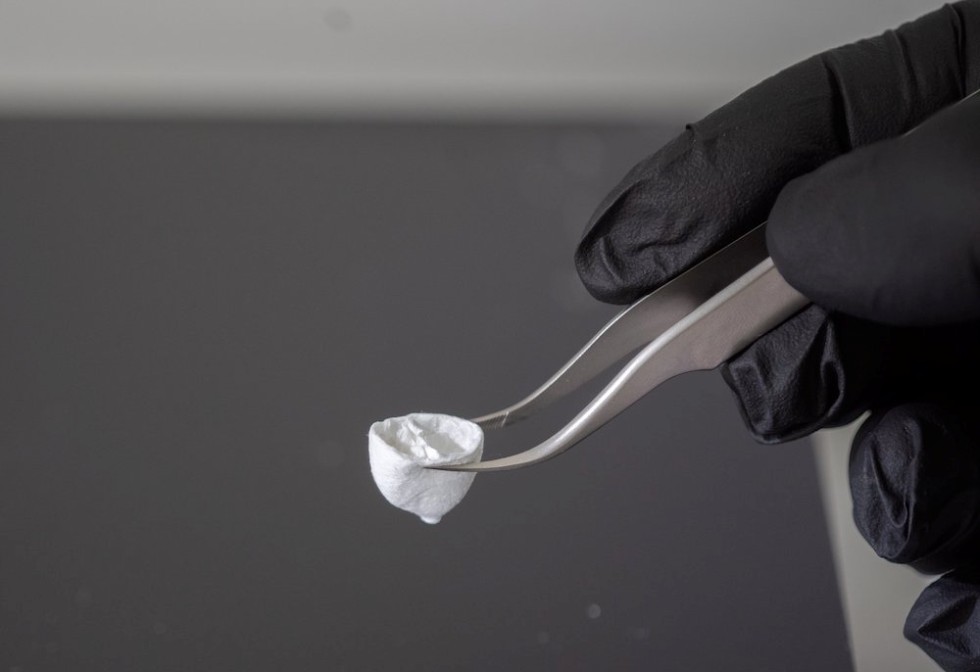 3D-Druck: das knstliche Herz rckt nher