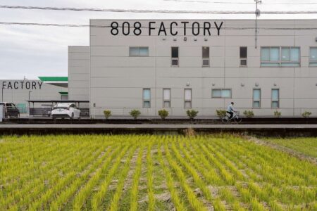 Vertical Farming: In Japan boomt der Anbau von Salat und Kräutern in Hallen und Regalen