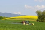 Scheitert Europas Wende zur ökologischen Landwirtschaft infolge des Ukraine-Kriegs?