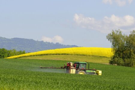 Scheitert Europas Wende zur ökologischen Landwirtschaft infolge des Ukraine-Kriegs?