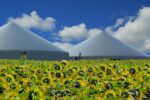 Biogasanlagen müssen Methan-Emissionen senken
