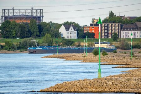 Wie gut lässt sich der Wasserstand des Rheins langfristig vorhersagen?