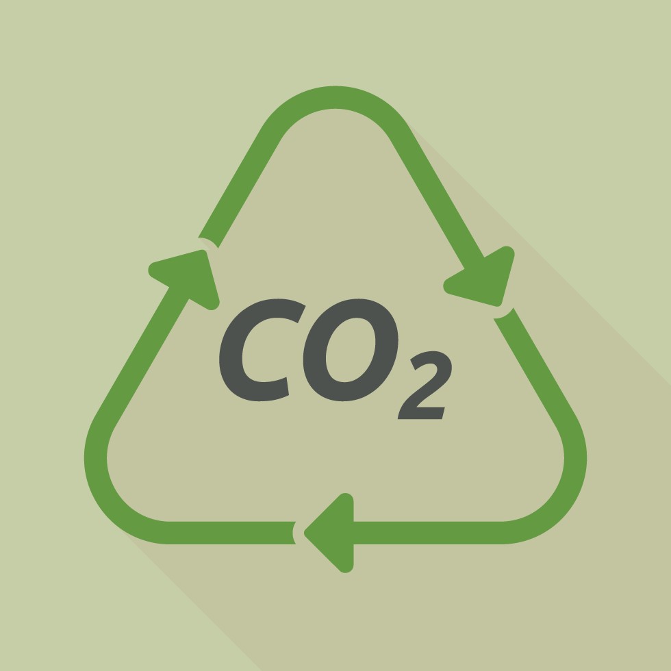 Defossilisierung lohnt sich fünf Beispiele