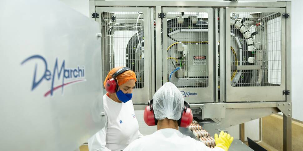 Beschäftigte an einer automatisierten Verpackungslinie bei Lebensmittelhersteller DeMarchi